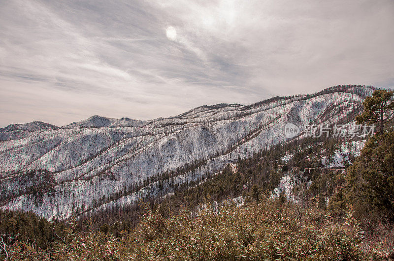 埃默里Pass View of雪山在吉拉国家森林